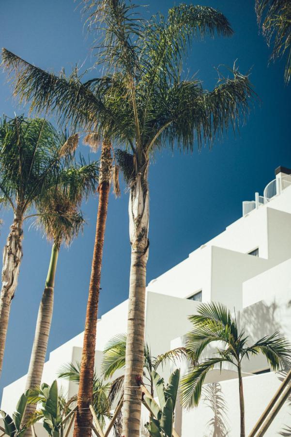 Cala Lanuza Suites El Campello Luaran gambar